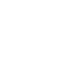 PSO logo wit